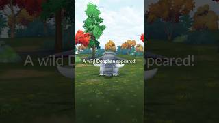 Catching donphan from pokemon go [upl. by Dyan]