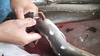 Easy way to clean the catfish clean easyway easy way tips satisfying fish asmr catfishlike [upl. by Ennaeel]