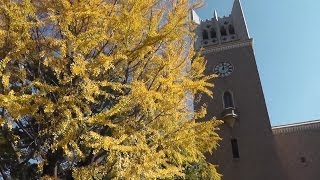 早稲田大学の学食 ～ Waseda University School Cafeteria [upl. by Llewsor543]