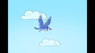 Blue Jay Flying Animation [upl. by Lener410]