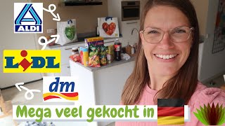 Allergrootste SHOPLOG met zowel boodschappen van Lidl en Aldi  inkopen van DM II uit Duitsland [upl. by Sowell]