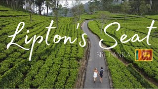 Lipton’s Seat  Sri Lanka Haputale 🇱🇰 [upl. by Gibbeon]