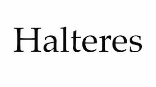 How to Pronounce Halteres [upl. by Obediah]