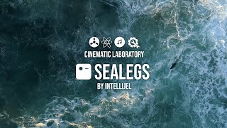 Intellijel SeaLegs v10 [upl. by Norha]