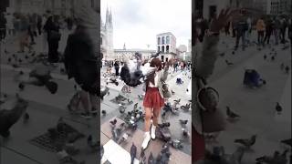 Doves at piazza del duomo Milan 🇮🇹 travel adventure virtualtour shorts youtubeshorts fyp [upl. by Middle]