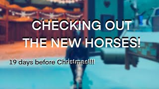 CHECKING OUT THE NEW HORSES Voice recorded gaming starstable starstableonline [upl. by Annodam]