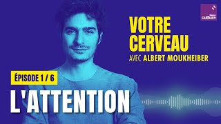 Votre cerveau filtre linfo  la force de lattention avec Albert Moukheiber 16  saison 1 [upl. by Iddet]