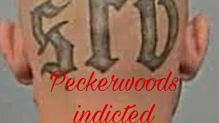 San Fernando Valley Peckerwoods get indicted by the feds [upl. by Onitsuaf]