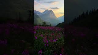 View🌸 subscribe viralvideo mountains🌱nature 🍃🌺flowers 🍀 [upl. by Elaval584]