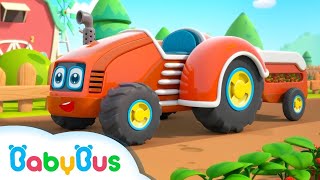 Tractorașele Colorate  Cântece educative cu mașini pentru Copii de la BabyBus [upl. by Claudina992]