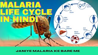 Malaria life cycle in hindi  Malaria pathophysiology and symptoms Eduluminescence [upl. by Eden]