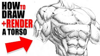 How to Draw and Render a Male Torso [upl. by Hibben284]