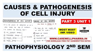 Pathogenesis Of Cell Injury  Causes Of Cell Injury  P2 U1  Pathophysiology  B Pharm 2nd Semester [upl. by Anaehr]