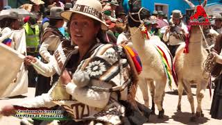 Festival de tarqueada en San pedro de Totora 2021 invitado Curahuara de Carangas [upl. by Ainyt]