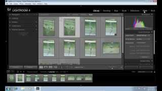 How to Save Lightroom Contact Sheet [upl. by Emmey]