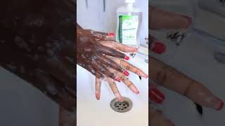 Organic Biodegradable Cleaning Detergent amp Handwash  Carol Your Health Coach [upl. by Apurk611]