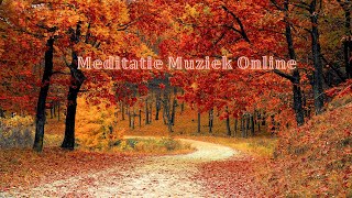 Meditatie Meditatie Muziek slapen amp mediteren youtube engelen [upl. by Alduino]