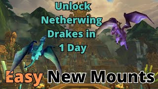 How to unlock all netherwing drakes in 1 day in WoW [upl. by Einamrej]