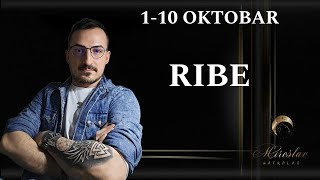 RIBE 1 10 Oktobar [upl. by Helmut]