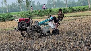 I cultivated my brothers land for free because he would plant rice on the land । [upl. by Orland]