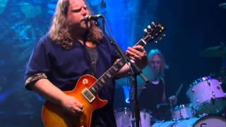 Govt Mule  Banks Of The Deep End [upl. by Tenneb]