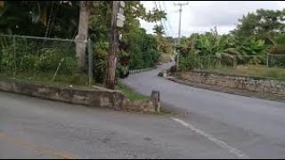 Welchman Hall St Thomas Barbados 🇧🇧 [upl. by Lawry]