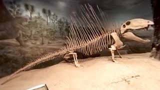 The Royal Tyrrell Museum in 360 Degrees [upl. by Damien186]