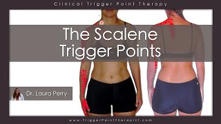 The Scalene Trigger Points [upl. by Anitreb]