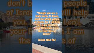 Isaiah 4114 NLT [upl. by Hassett]