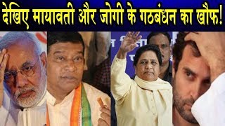 मायावती और जोगी का गठबंधन तीसरी ताकत हैFear of defeat of BJP and Congress [upl. by Janetta264]