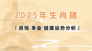 2025年生肖属猪的人感情事业健康运势分析 属猪 生肖猪 运势 2025年 [upl. by Jamille565]