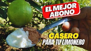 ABONO CASERO MÁGICO Con SOLO 2 INGREDIENTES TUS CÍTRICOS tendrán Crecimiento y Mucha Flor [upl. by Conlon260]