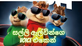 salli alvin voice  සල්ලි  ඇල්වින්ගෙ කටහඩින් [upl. by Moorish]