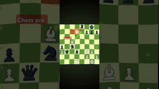 Magnus carlsen brilliant move chessgrandmaster chessplayer chessgame viralshort chess proedit [upl. by Bertilla]