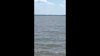 Viewer video of search for missing man on the Pamunkey River [upl. by Aiym]