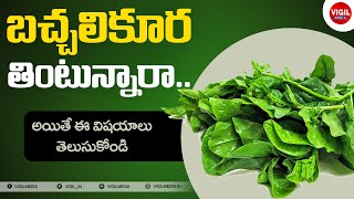 Benefits Of Spinach Bachali Aaku  Health Tips in Telugu  Bachali Aaku Uses  VIGIL MEDIA [upl. by Ahsratal60]