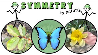 Symmetry Reflection Rotational Translational and Glide reflection [upl. by Stavros]