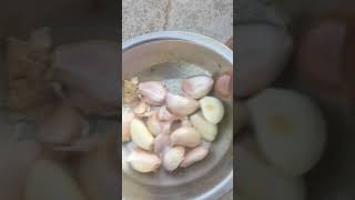 Sowing seeds of garlic in my terese garden [upl. by Ahsemaj]