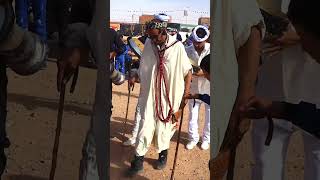 Danse alaoui El Biodh رقص dance reggada الجزائر العلاوي musicshorts allaoui gasba [upl. by Martinic]