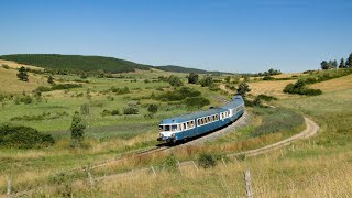 🇫🇷 Des Bleus dAuvergne en balade sur le Translozérien [upl. by Satterlee]