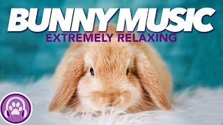 Sleep Music for Anxious Rabbits  TRIED AND TESTED [upl. by Anaiv]