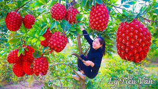 How to harvest Red Pandanus amp Goes to the Market sell  Harvesting and Cooking  Daily Life [upl. by Accire]