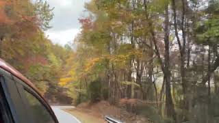 Russell Bypass to Brasstown Bald  October 27th 2024 [upl. by Julian988]