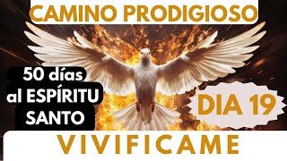 Día 19🔥❤️ CAMINO PRODIGIOSO 50 DIAS AL ESPÍRITU SANTO🙏 te pido VIVIFICAME jueves Eucarístico [upl. by Navlys]