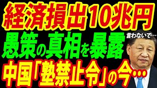 【中国の塾禁止令】経済損失10兆円の悲惨な結果を徹底リポート [upl. by Yenot511]