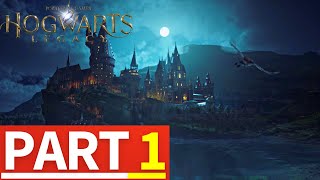 HOGWARTS LEGACY Gameplay Walkthrough Part 1  Intro 1440p QHD  No Commentary [upl. by Ilarin]