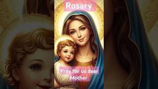 Litany of Mother Mary velankanni telugucatholic telugu rcmmusicsong [upl. by Sorvats]