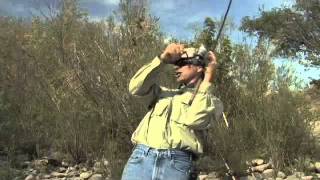 Bobber n Jig Steelhead Fishing on the Clearwater River [upl. by Esilanna]