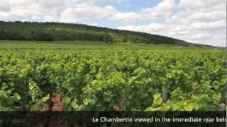 UNESCO SITE WINE From BURGUNDY  FAMOUS Grands Crus of GevreyChambertin [upl. by Eddy]