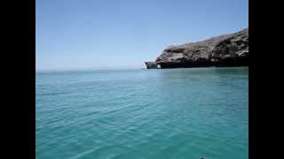 Jumping  Flying Rays Video  Kayaking near La Paz in Baja California Sur  Mexico [upl. by Acirretahs]